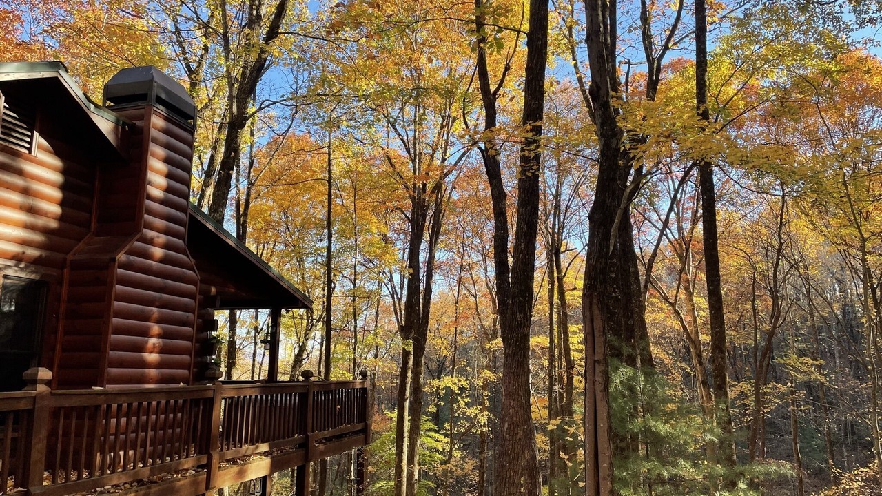 Photo of Outdoor in Ellijay