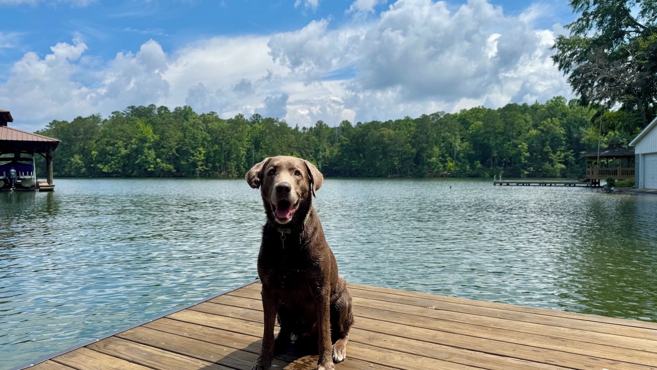 Photo of Outdoor in Jacksons' Gap