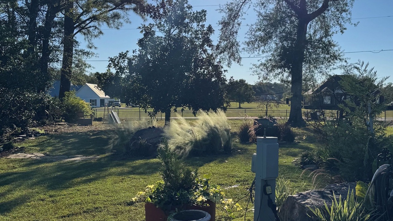 Photo of Outdoor in Northport