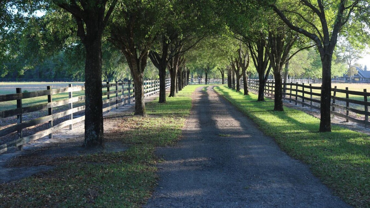 Photo of Others in Bryceville