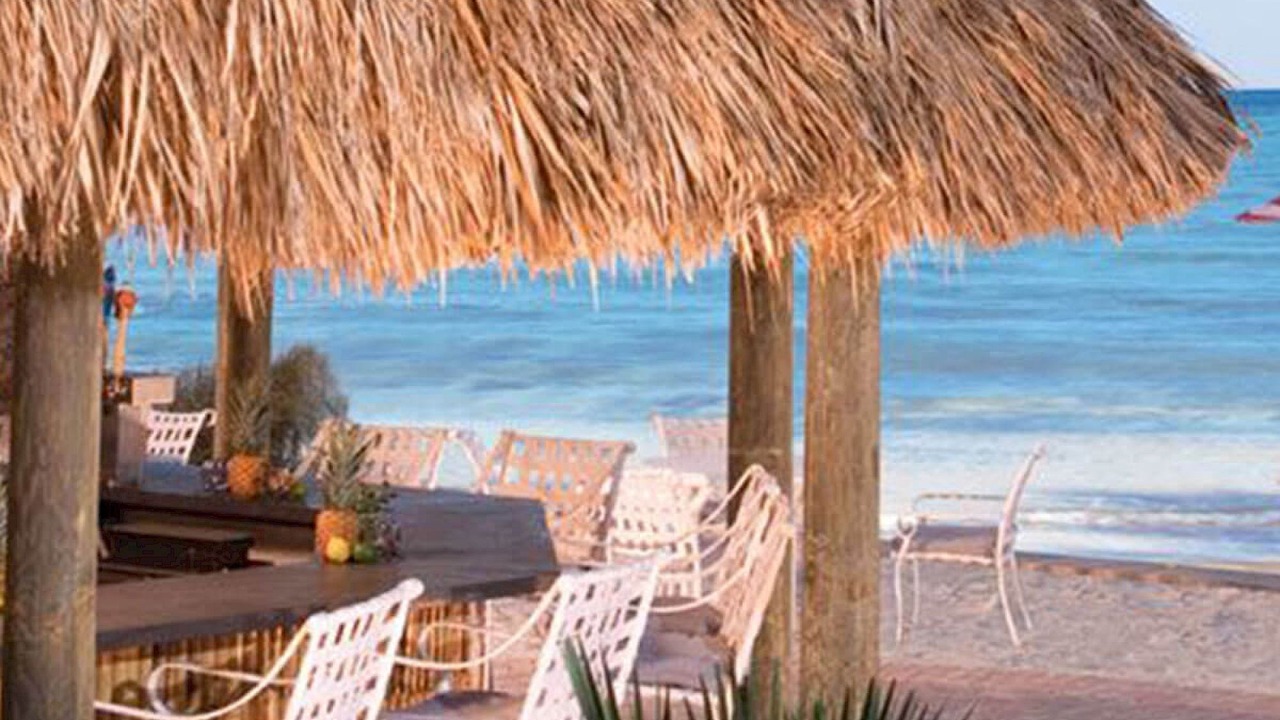 Photo of Others in Daytona Beach Shores