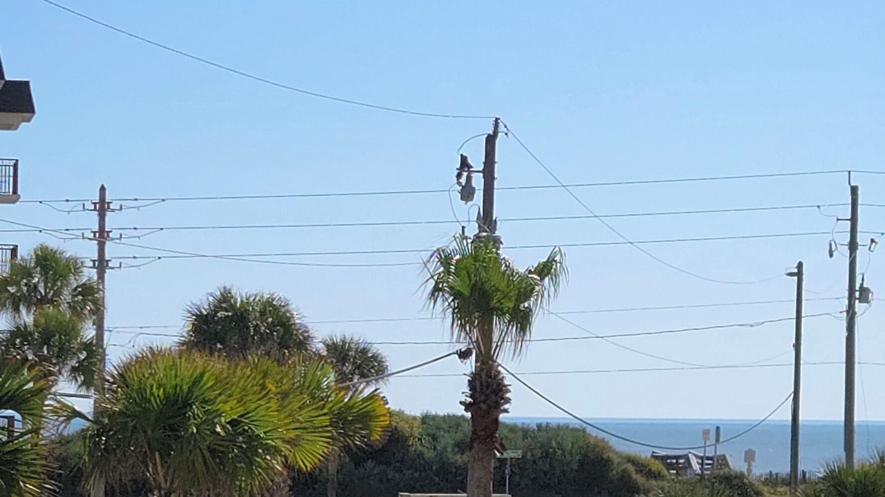 Photo of Outdoor in Avalon by the Sea