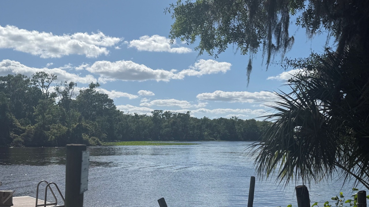 Photo of Others in Satsuma