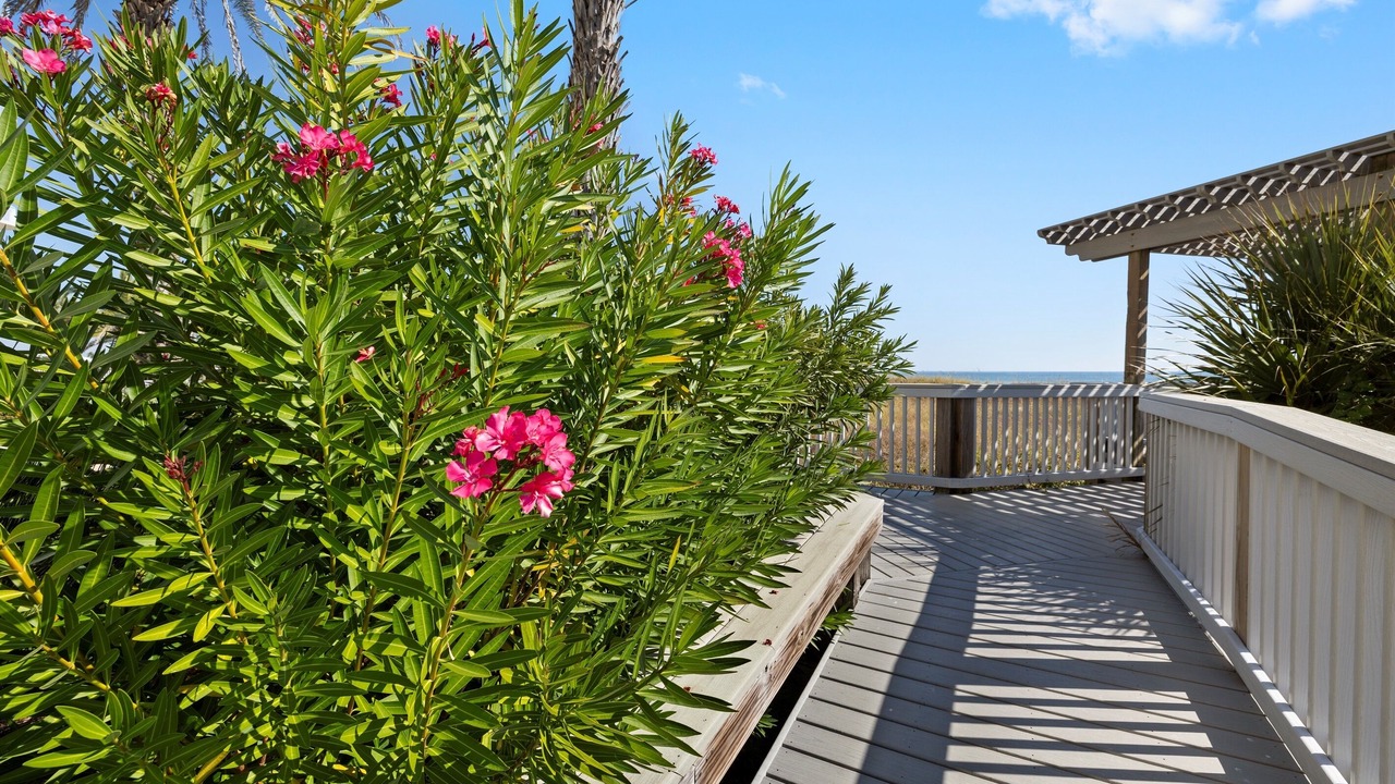 Photo of Outdoor in Ono Island