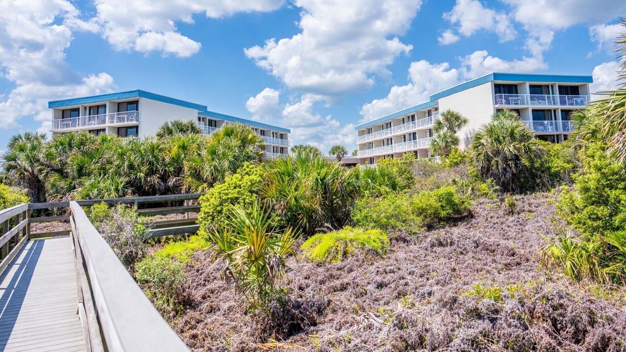 Photo of Outdoor in St. Augustine Beach