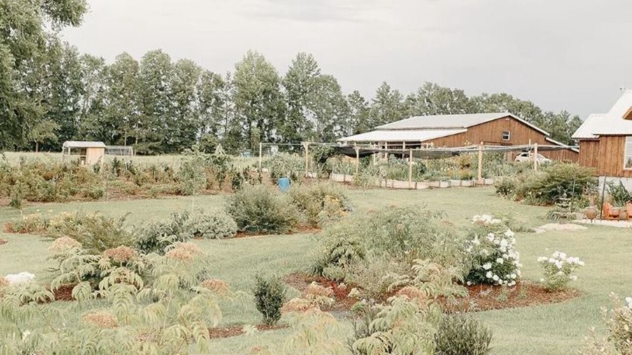 Photo of Outdoor in Ramer