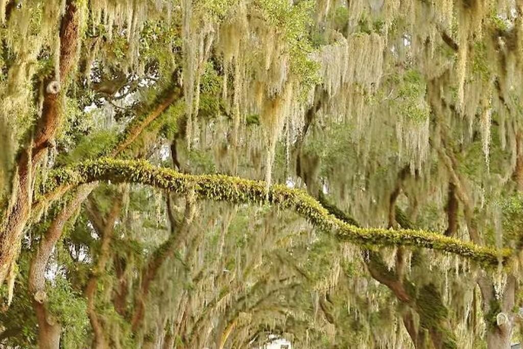 Photo of Others in St. Augustine