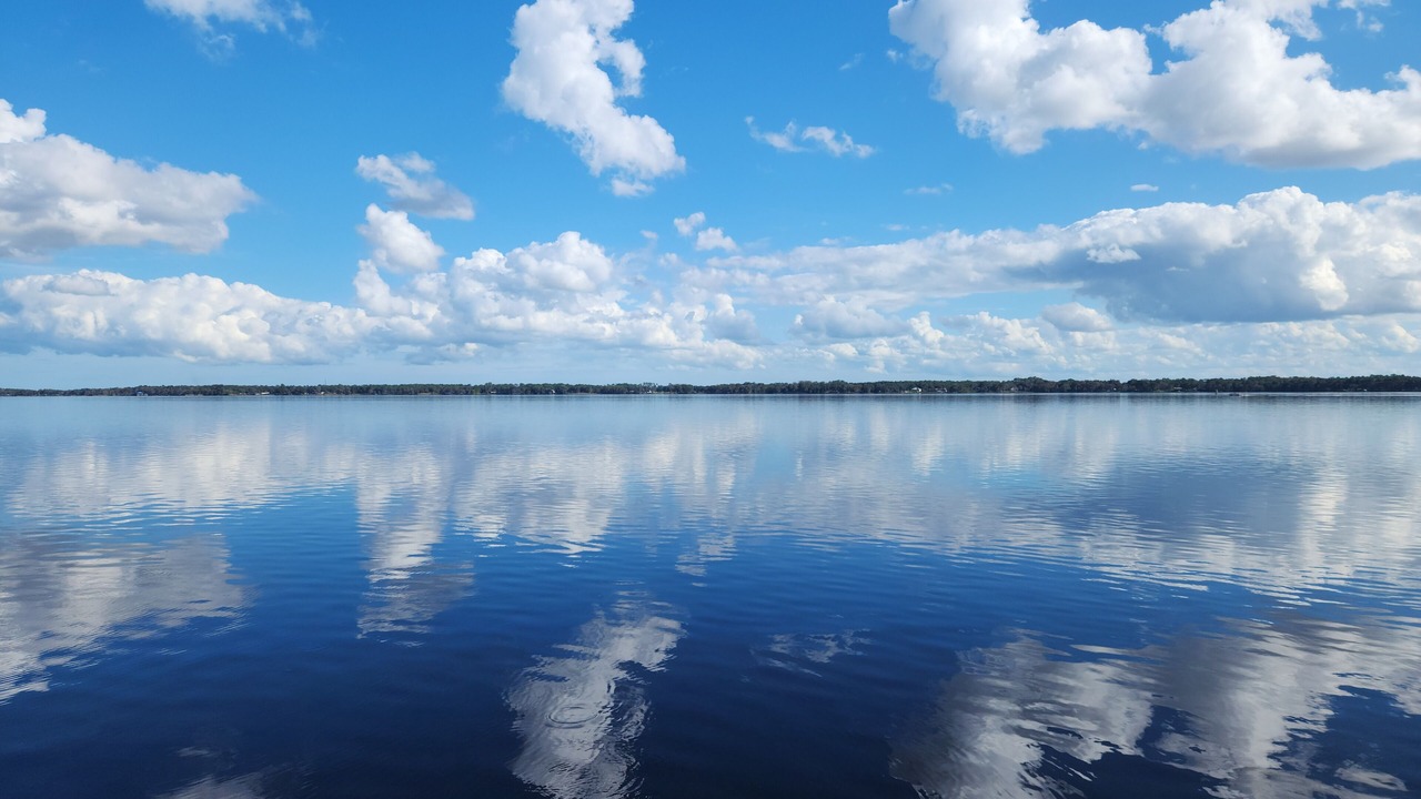 Photo of Others in Palatka