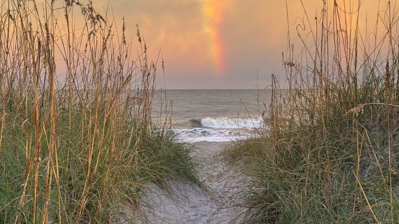 Photo of Others in Fernandina Beach