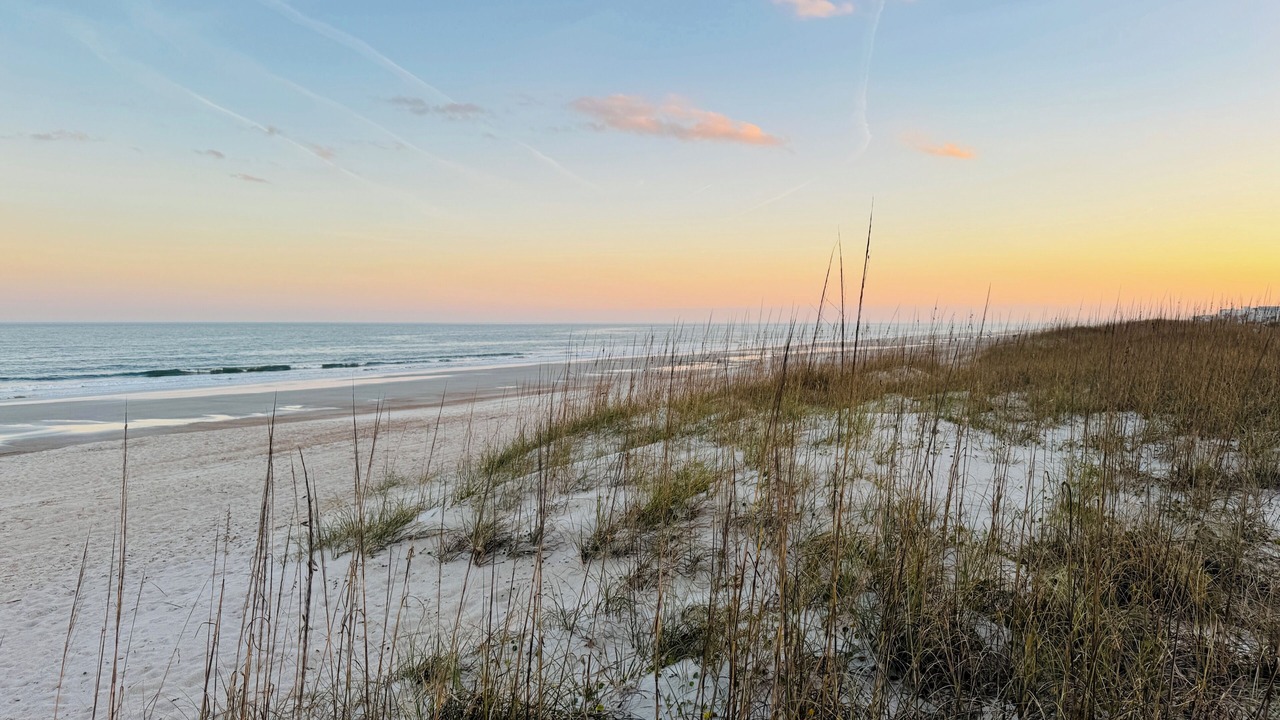 Photo of Others in Fernandina Beach