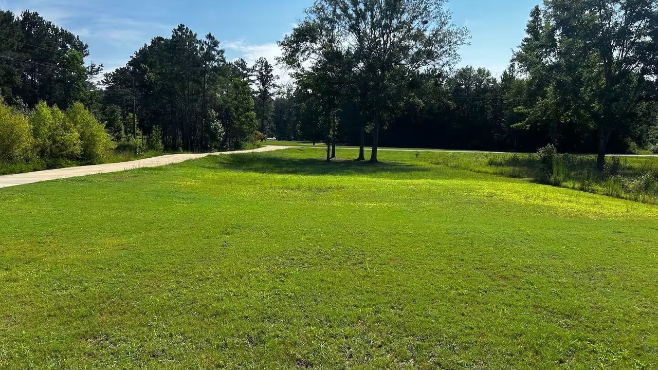 Photo of Others in Allen