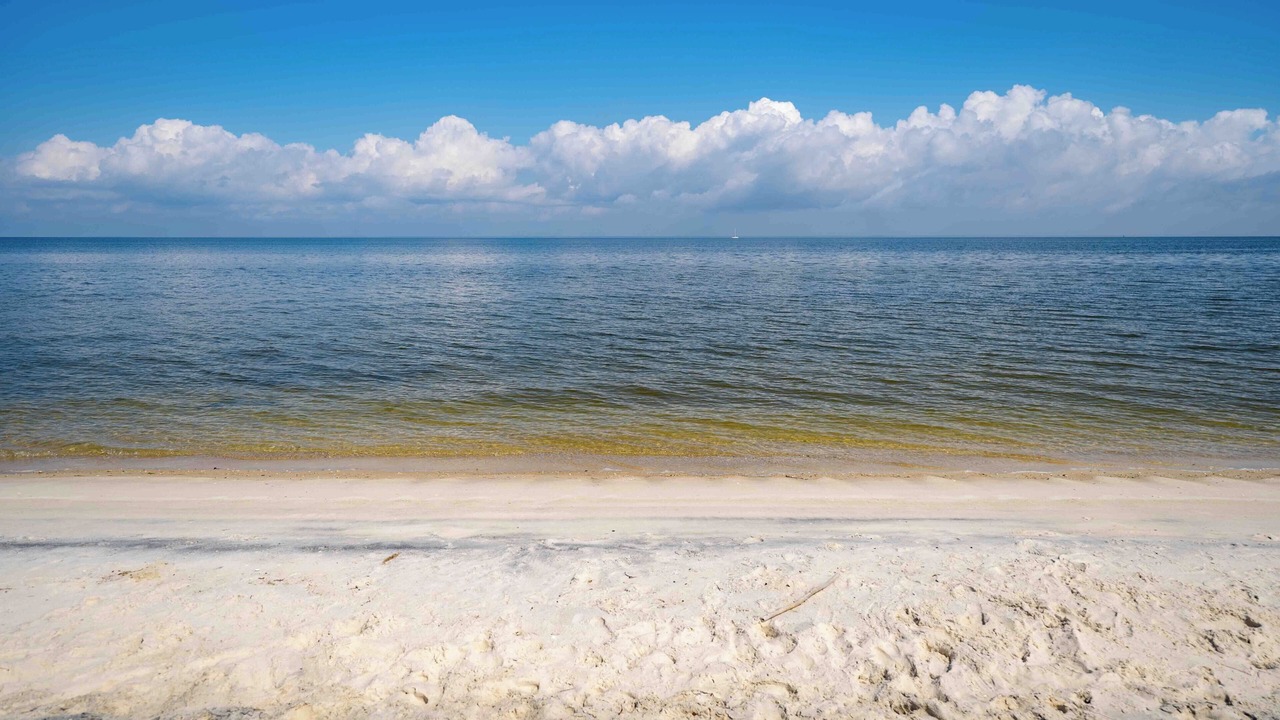 Photo of Others in Dauphin Island