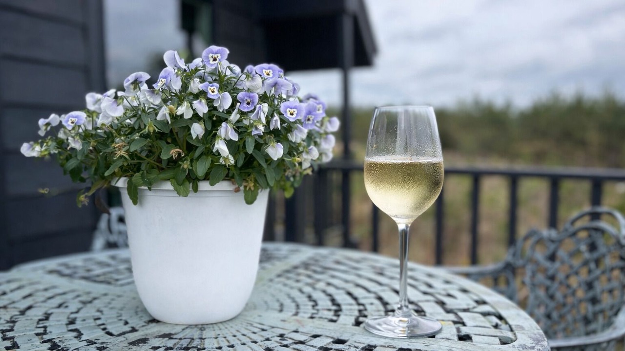 Photo of Outdoor in Kosciusko