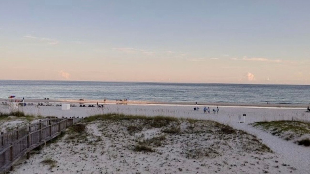 Photo of Others in Gulf Shores