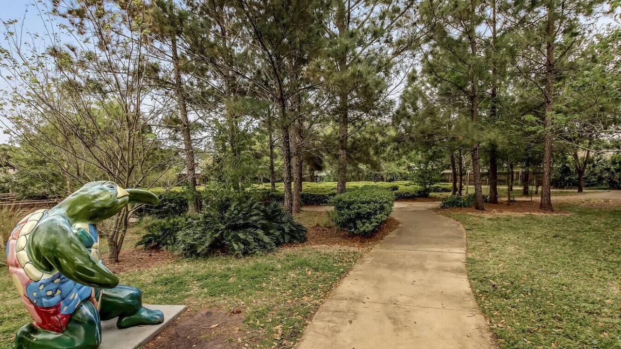 Photo of Outdoor in Palm Valley