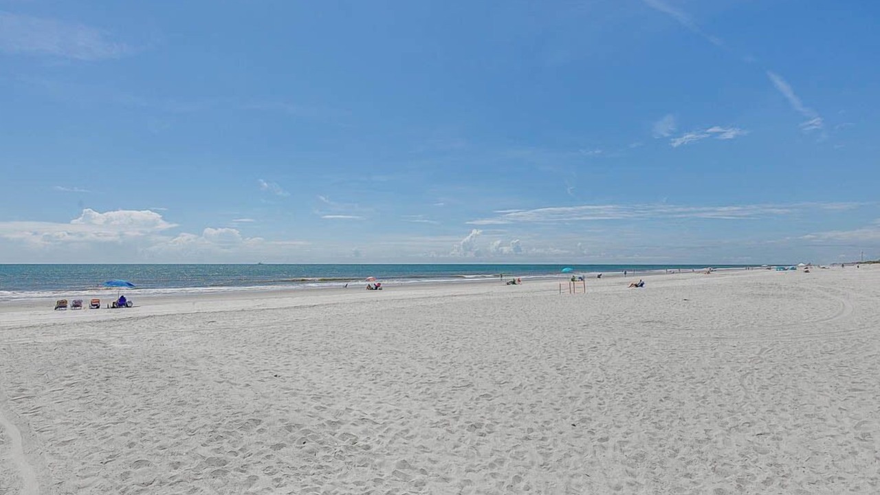 Photo of Others in Jacksonville Beach