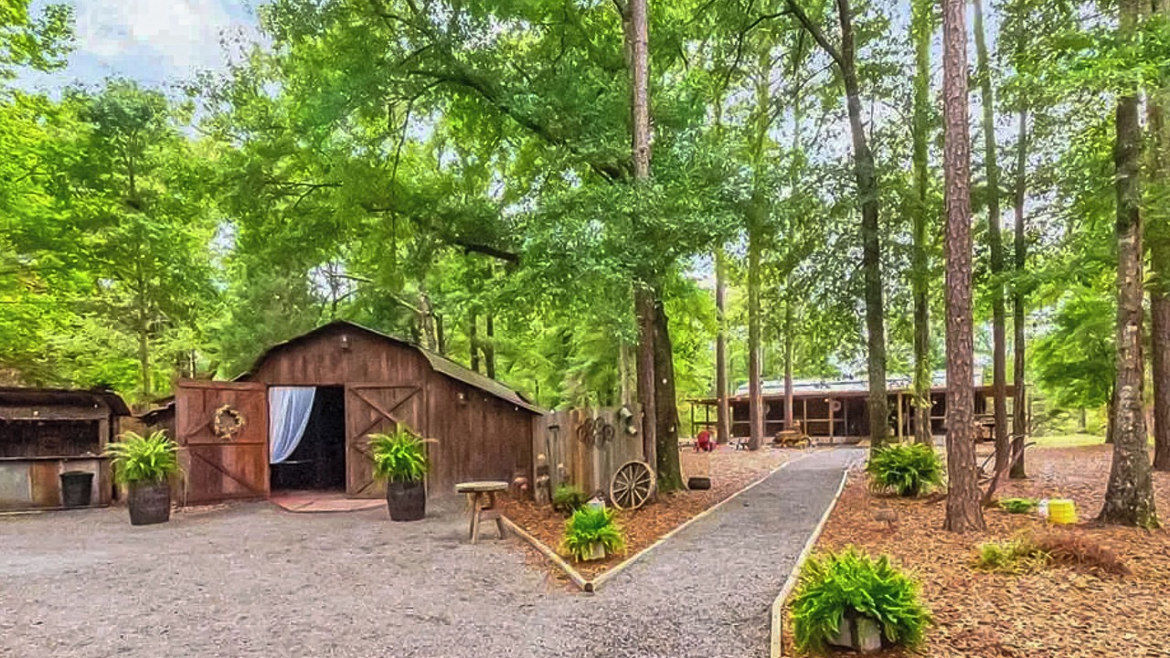 Photo of Outdoor in Wilmer