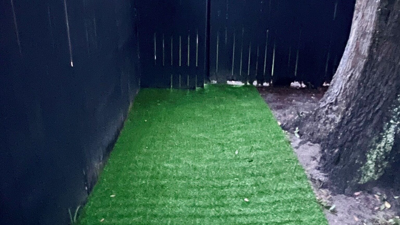Photo of Outdoor in Orange Park