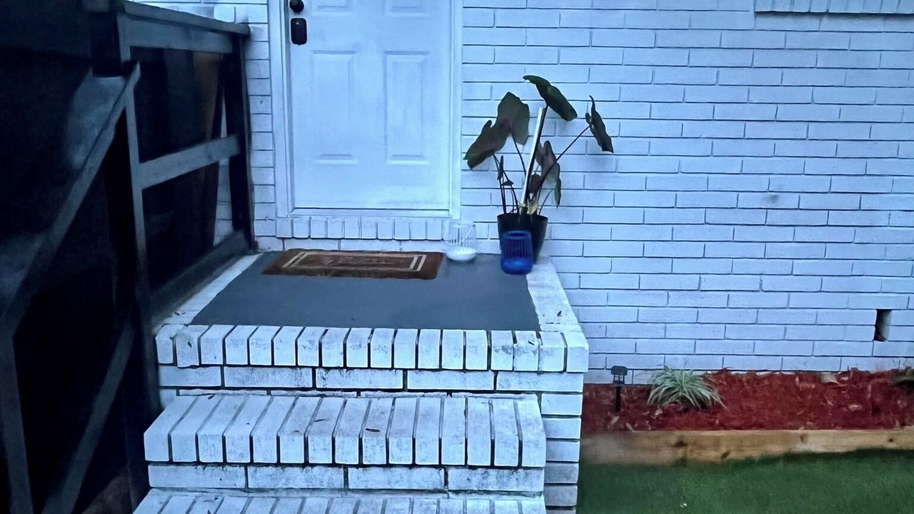 Photo of Outdoor in Orange Park