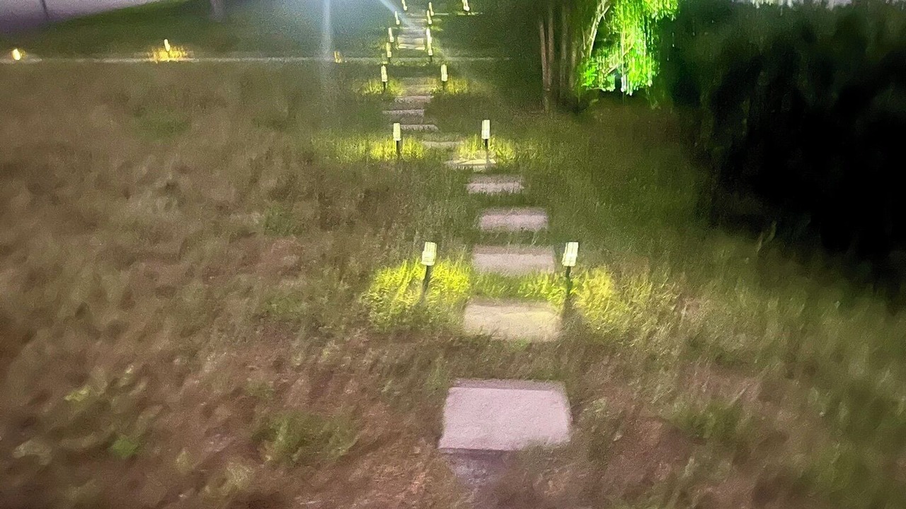 Photo of Outdoor in Orange Park