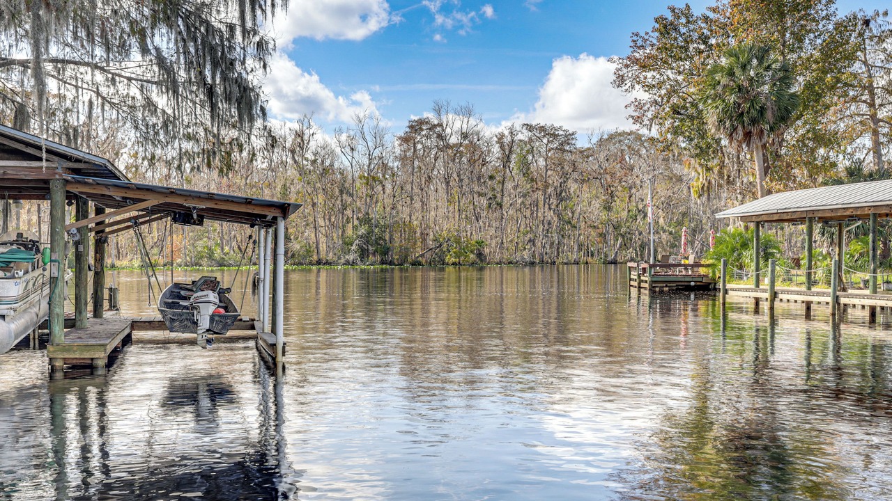 Photo of Others in Satsuma