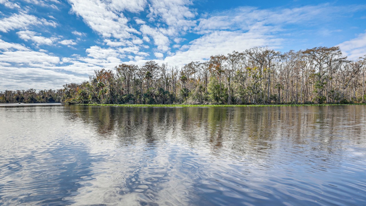Photo of Others in Satsuma