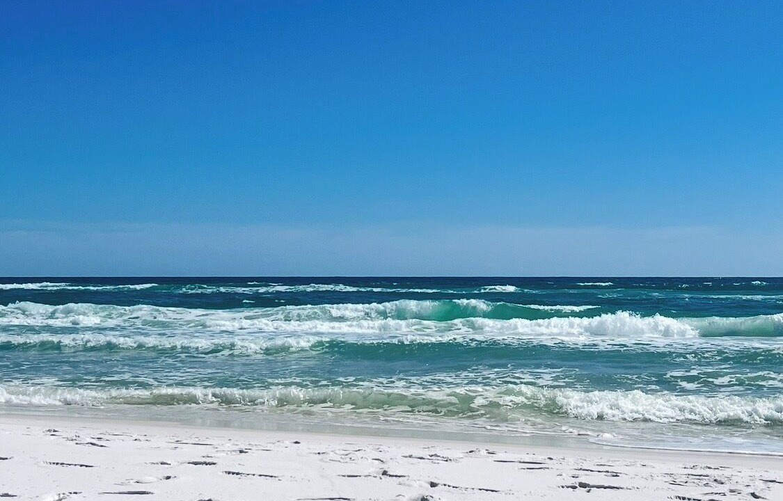 Photo of Others in Pensacola Beach
