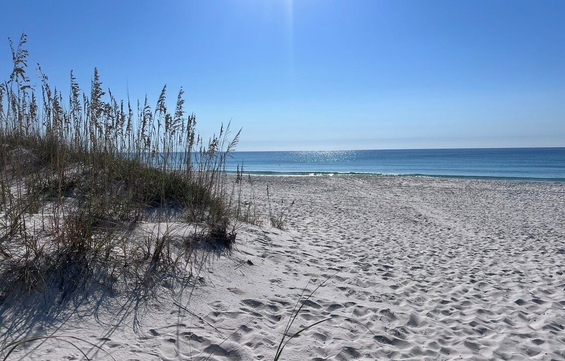 Photo of Others in Pensacola Beach