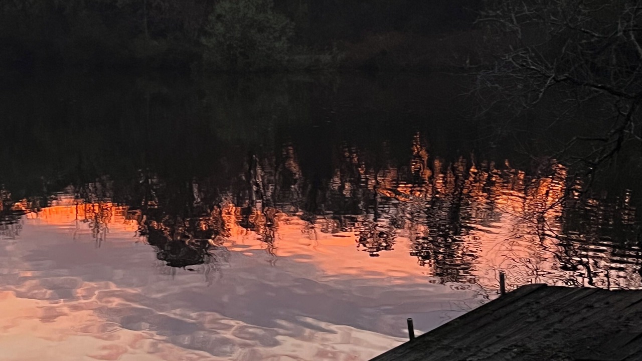 Photo of Others in Satsuma