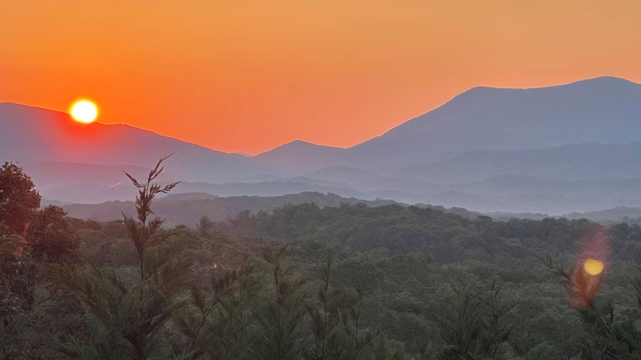 Photo of Others in Ellijay