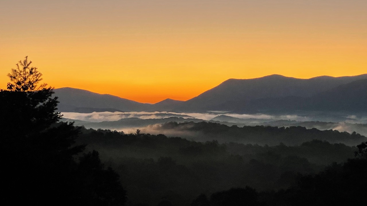 Photo of Others in Ellijay