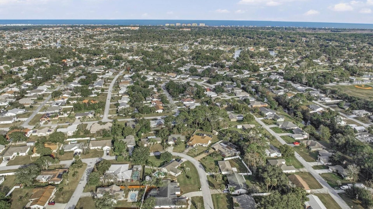 Photo of Outdoor in Palm Harbor