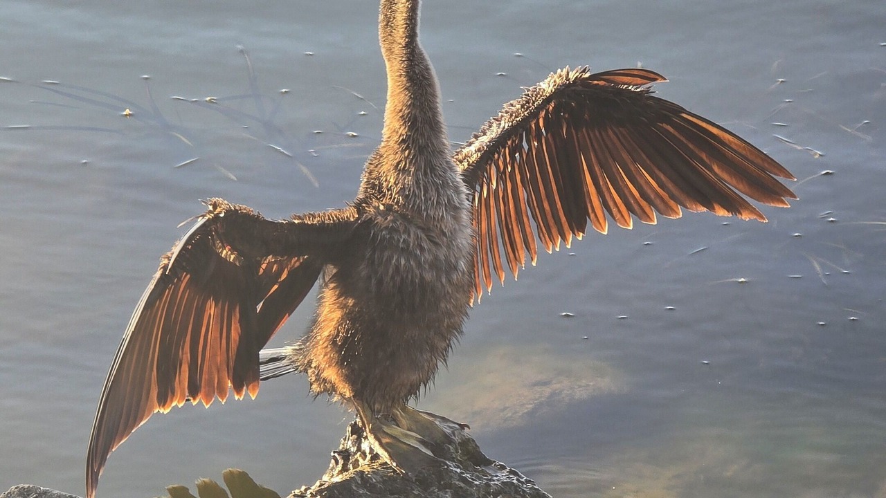 Photo of Others in Mount Dora