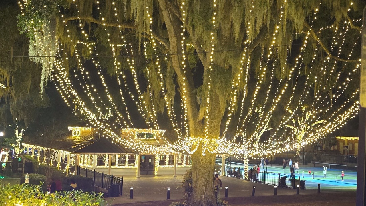 Photo of Others in Mount Dora