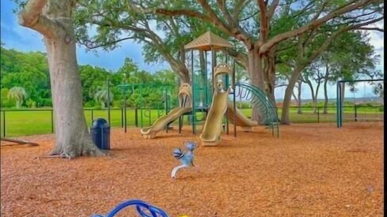 Photo of Others in Saint Augustine Shores