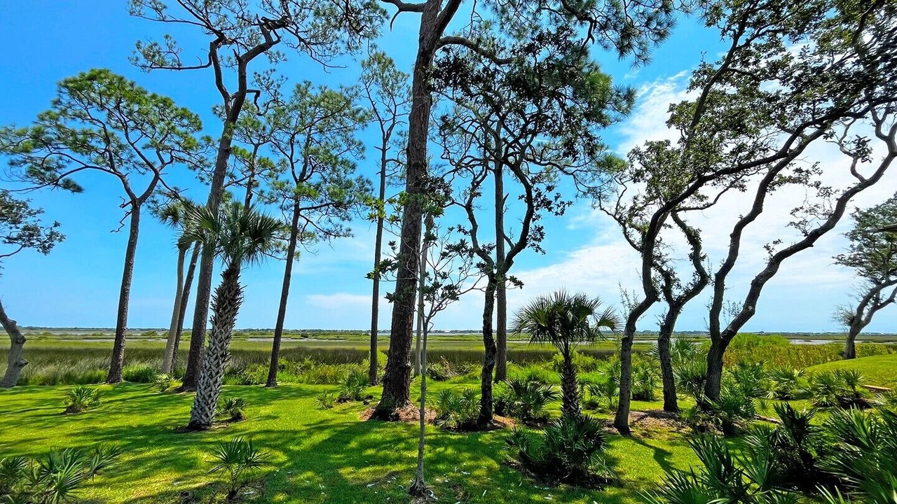 Photo of Others in Saint Augustine Shores