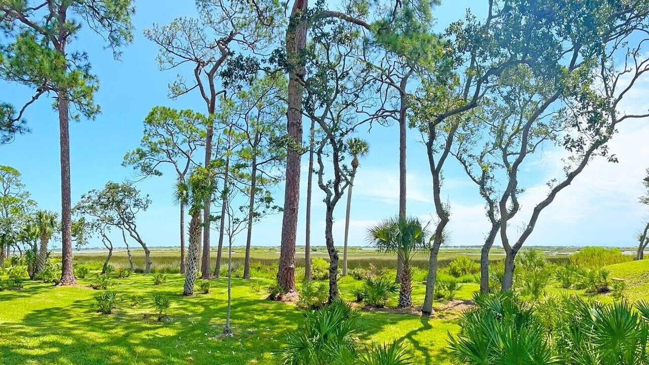 Photo of Others in Saint Augustine Shores