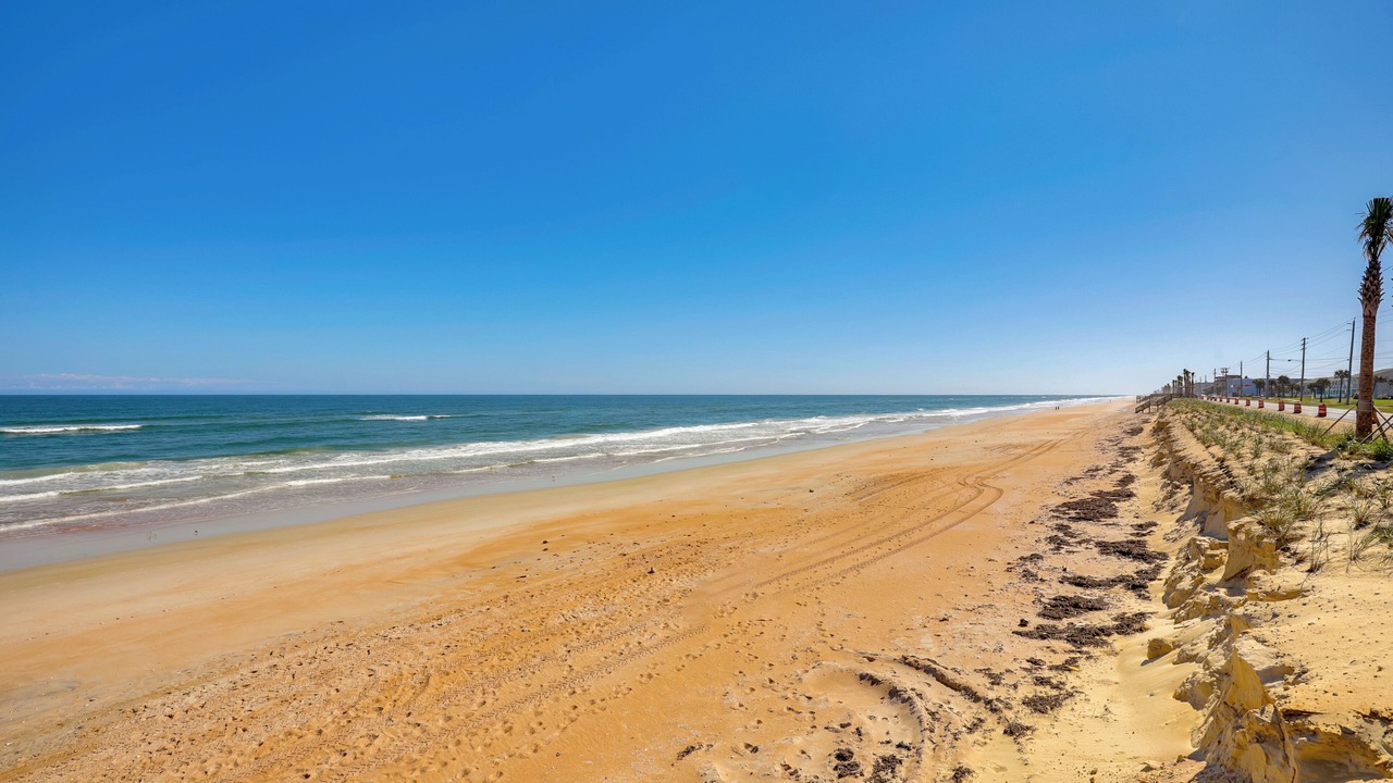 Photo of Others in Ormond-by-the-Sea