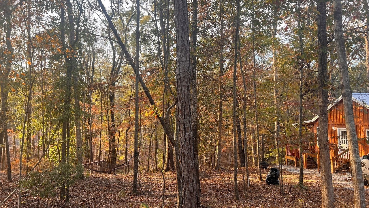 Photo of Outdoor in Ramer