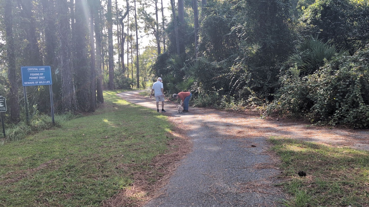 Photo of Others in Saint Augustine Shores
