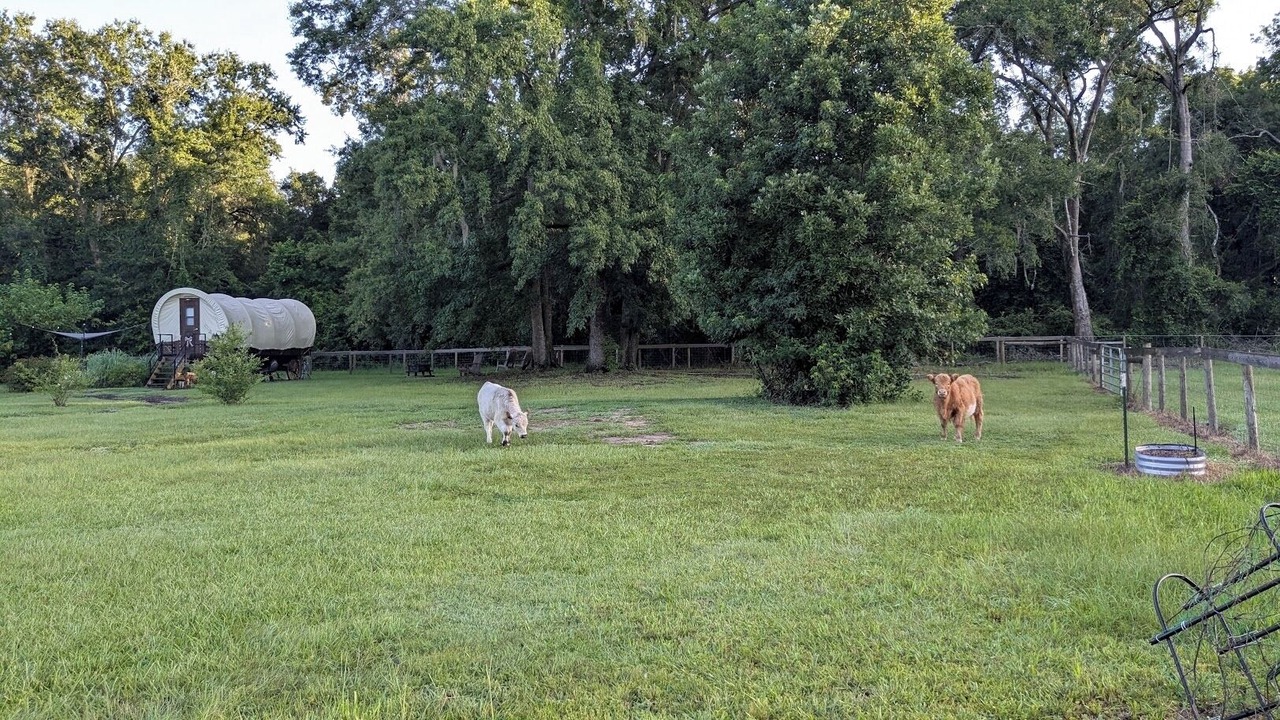 Photo of Outdoor in Putnam Hall