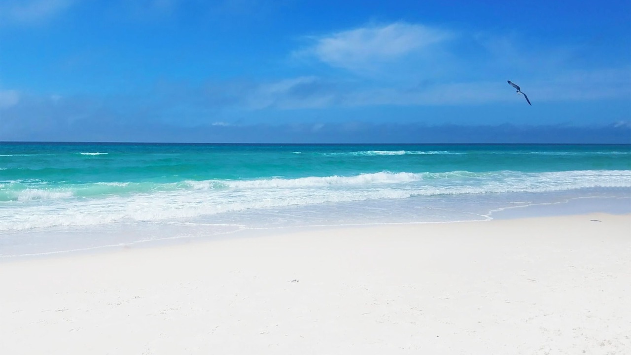 Photo of Others in Holiday Beach