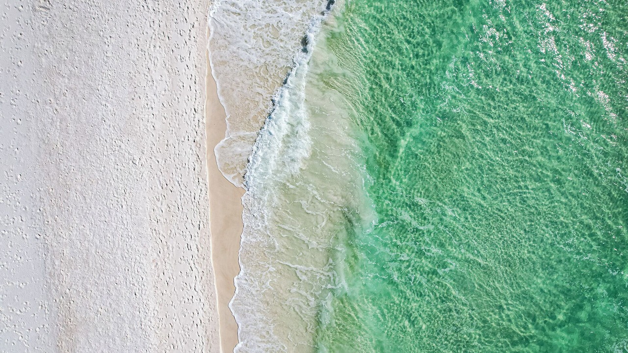Photo of Others in Holiday Beach