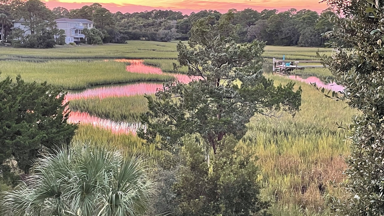Photo of Others in Tybee Island