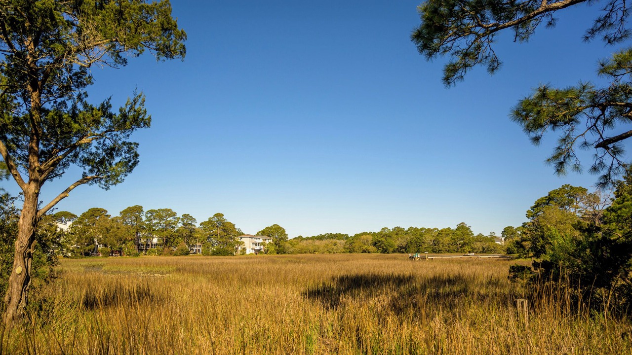 Photo of Others in Tybee Island