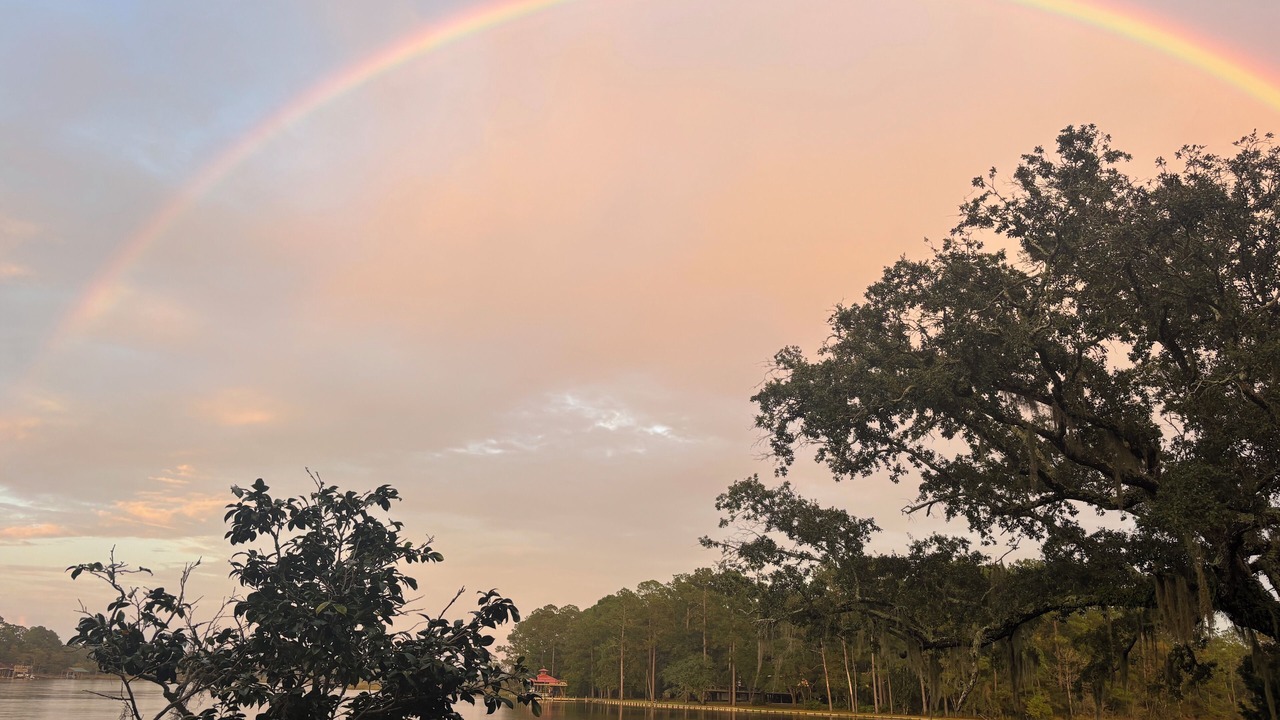 Photo of Others in Foley