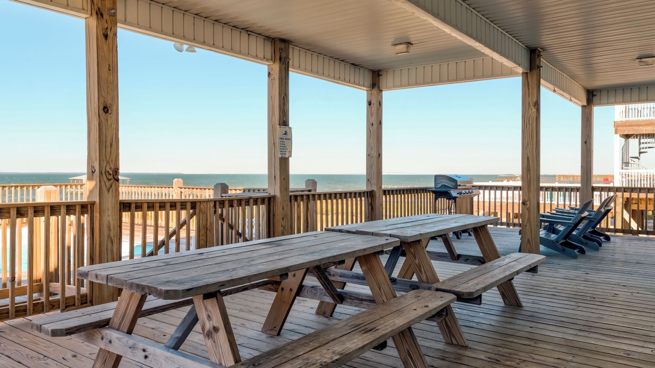 Photo of Outdoor in Dauphin Island