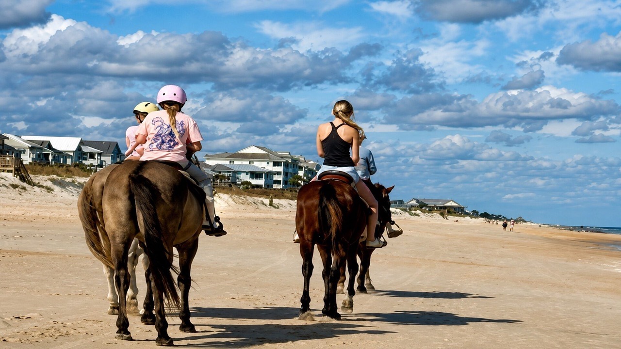 Photo of Others in Palm Coast