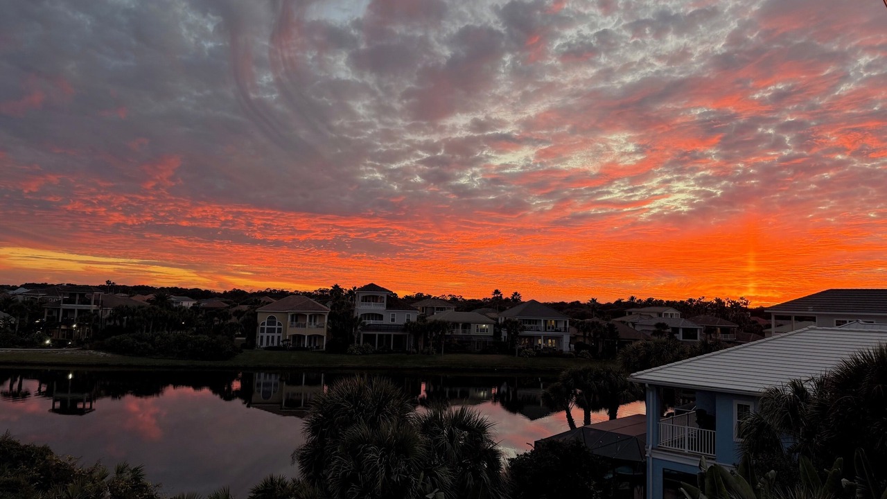Photo of Others in Palm Coast