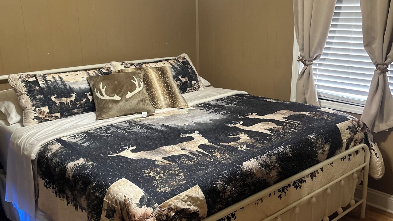 Photo of Bedroom in Chapman